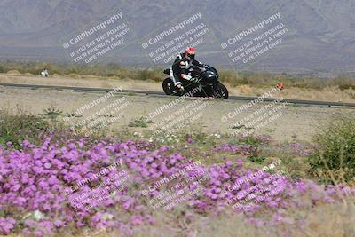 media/Feb-04-2023-SoCal Trackdays (Sat) [[8a776bf2c3]]/Turn 15 Inside Blooming (1050am)/